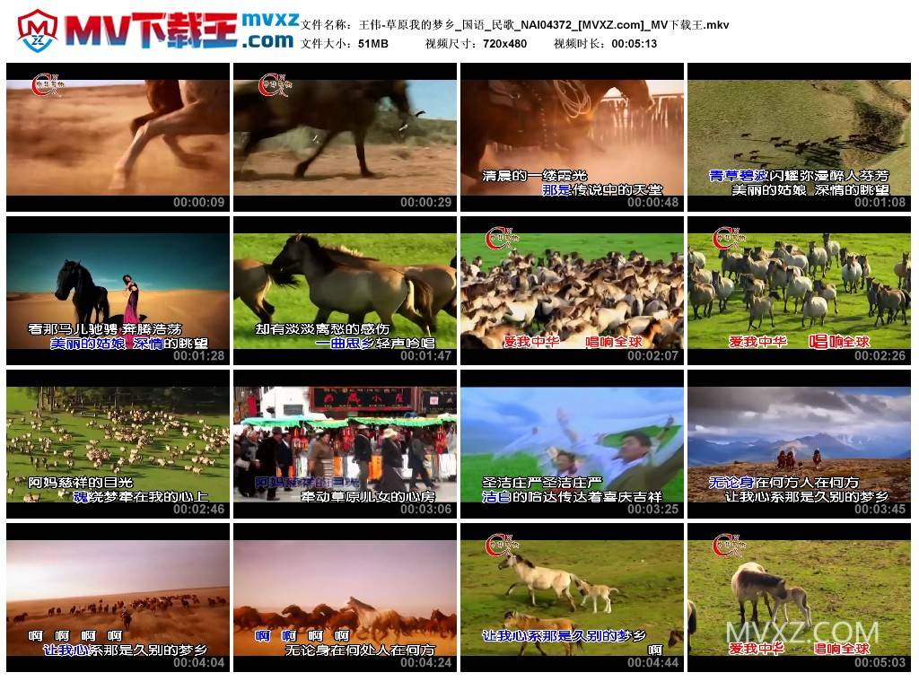 王伟-草原我的梦乡_国语_民歌_NAI04372